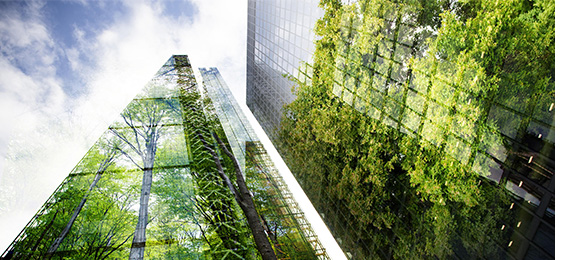 El MITECO aprueba 19 nuevos proyectos para impulsar la renaturalizacin de ciudades